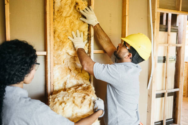 Best Insulation for New Construction  in Deer Park, IL